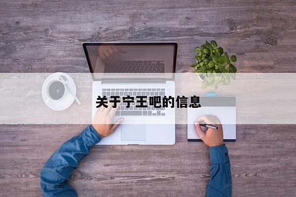 关于宁王吧的信息