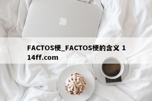 FACTOS梗_FACTOS梗的含义 114ff.com 